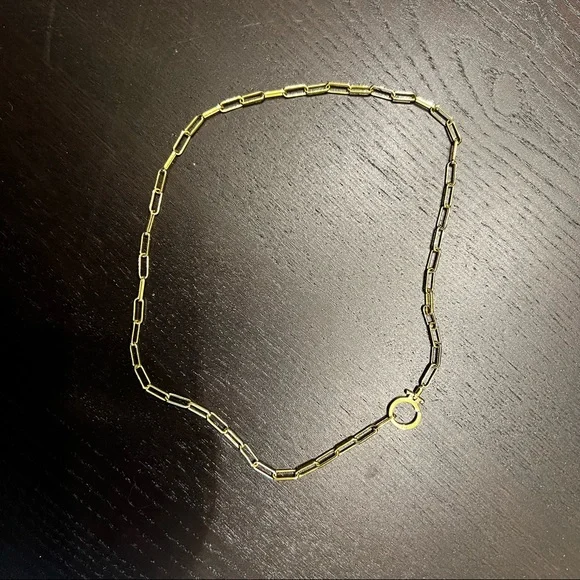 Gorjana Gold Link Necklace - Picture 2 of 5